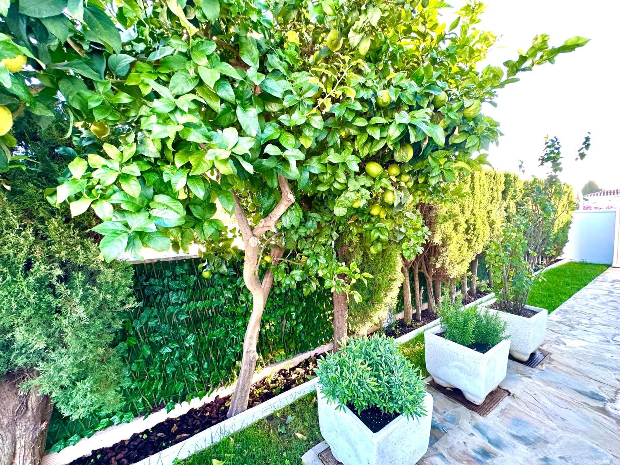 Villa Casacara Marbella Beachside Costabella -Spain 외부 사진